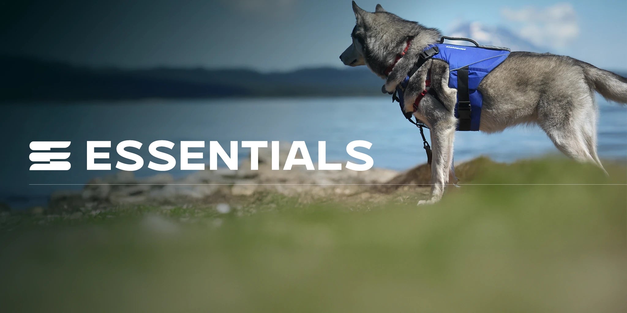 ESSENTIALS_HERO_BANNER_copy - Stohlquist