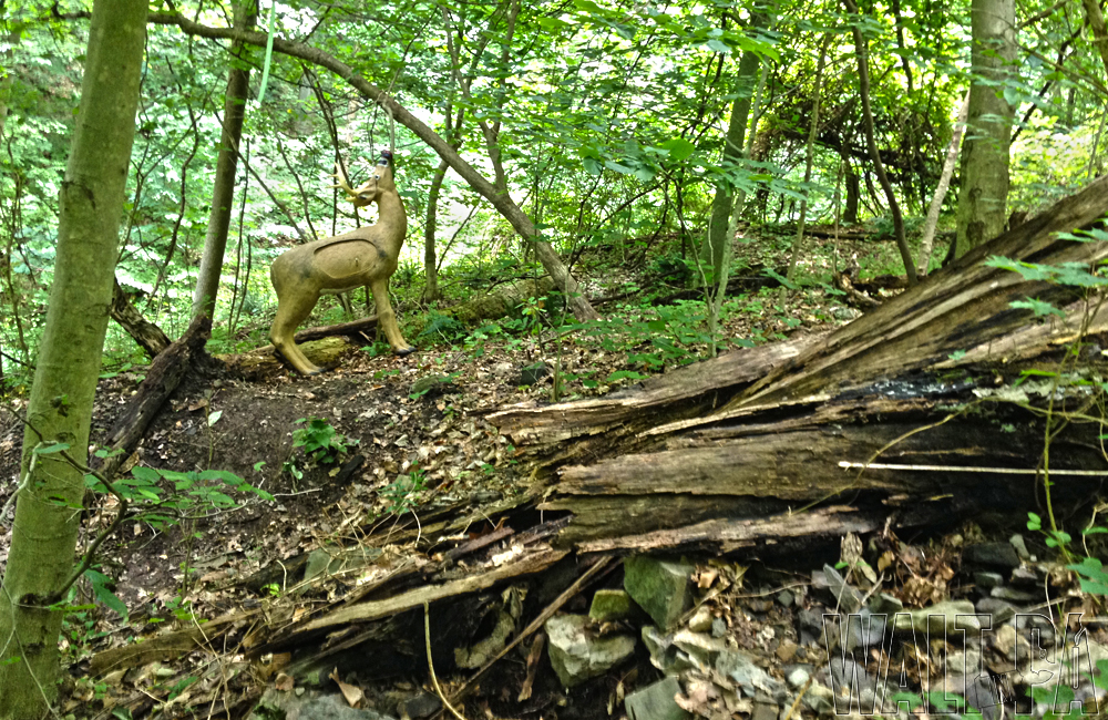 Stowe Archers - June 2014 - 25